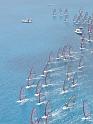 regata (9)